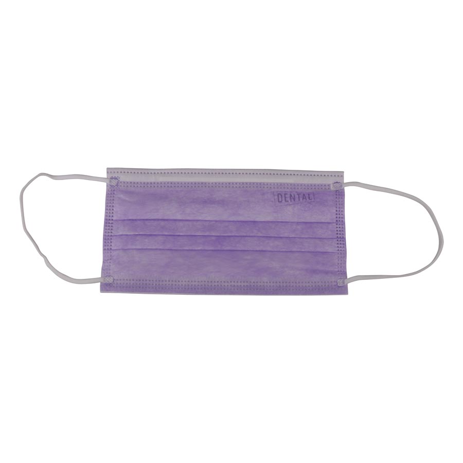 Dental City Earloop Masks Purple 50/Box ASTM2 product image