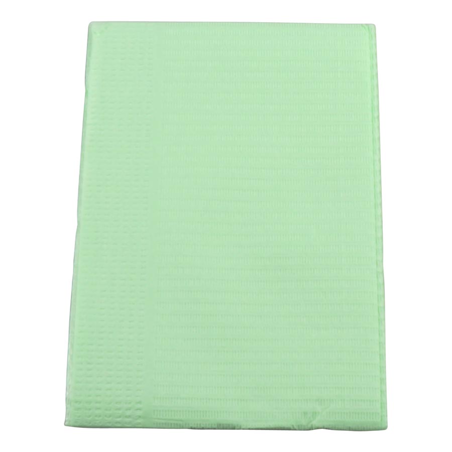 Plastcare Patient Bibs Green 2Ply+Poly 13x18 (EURO) 500/Case product image