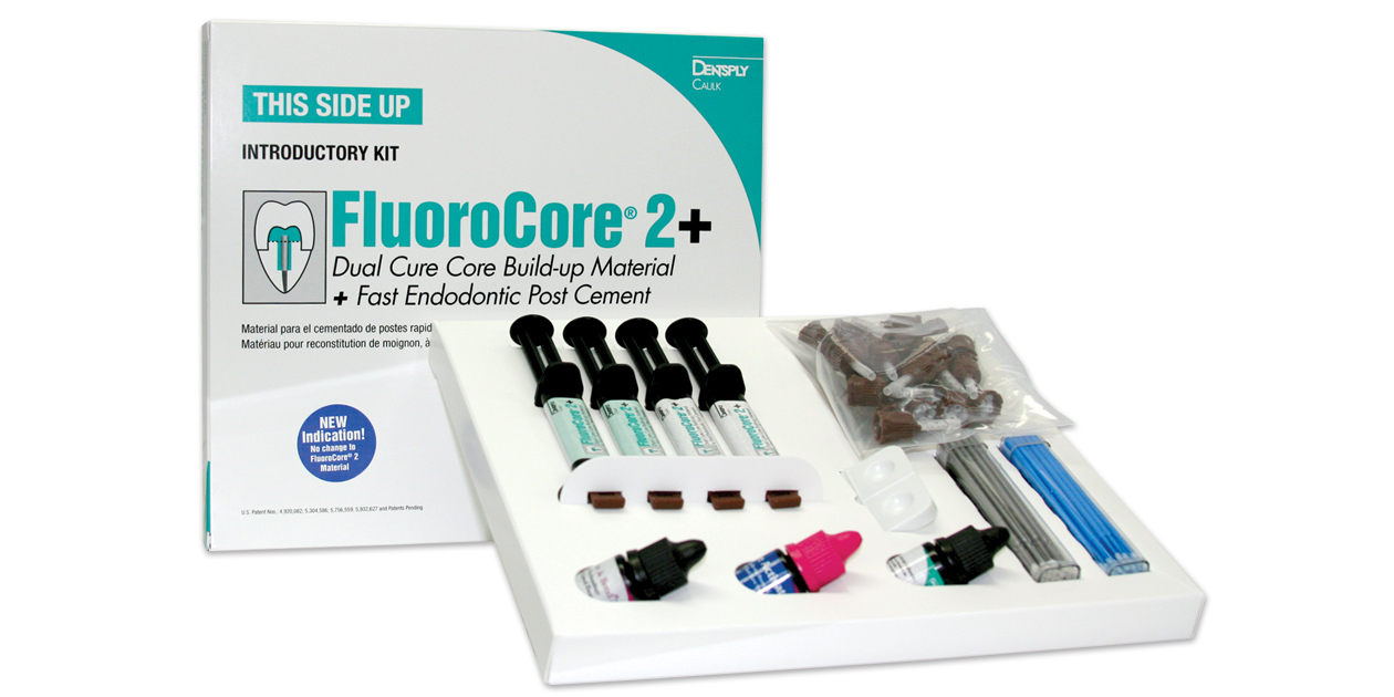 FluoroCore 2+ Core Build-Up Material, Dual-Cure, Regular Set, Syringe Refill, 4.75 g, Tooth Color, 4/Pk, 612401 thumbnail 9
