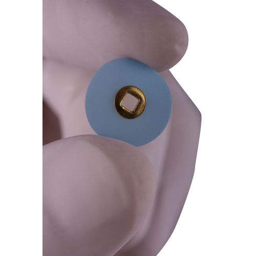 Moore-Flex Snap On Disc 100/Bx thumbnail 3