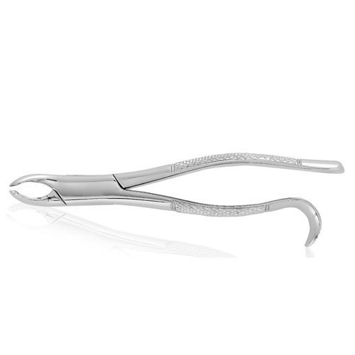 #18L Extracting Forceps thumbnail 2