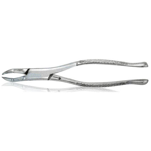 Extracting Forceps #53L thumbnail 7