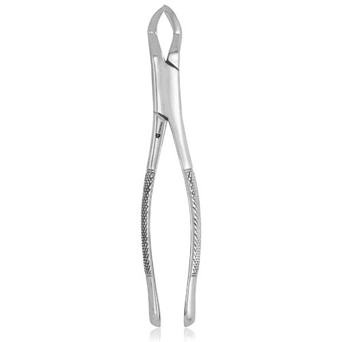 #88R Extracting Forceps thumbnail 3