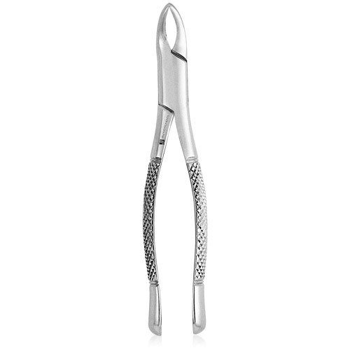 #101 Extracting Forceps product image