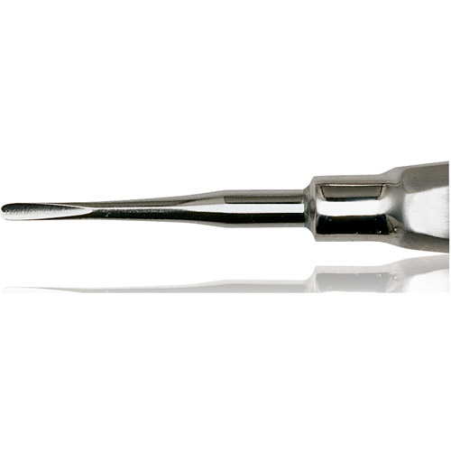 Apical Elevator, Blunt, Single-End, Large Stainless Steel Handle, # 304 B, 1/Pk, 1003363 thumbnail 3