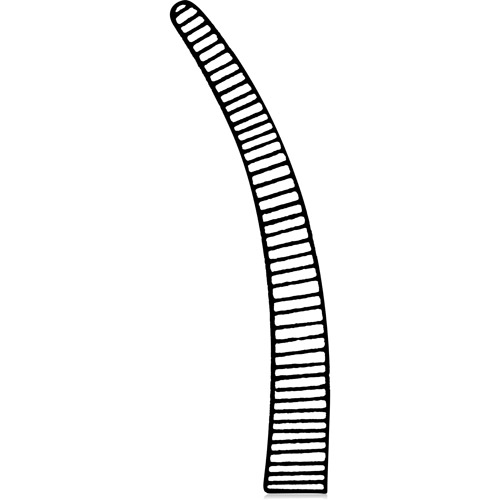 Crile Hemostat 5.5 in Curved Ea thumbnail 2