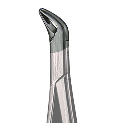 Forceps 151S Roots Uni 43291 (US Elite) product image