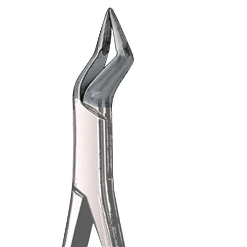 Forceps 32A Roots Uni 43341 (US Elite) product image