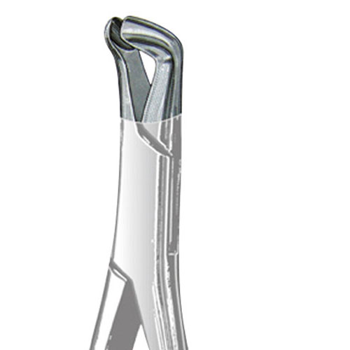 Forceps 222 Lower Molar 3Red Uni 43411 (US Elite) product image