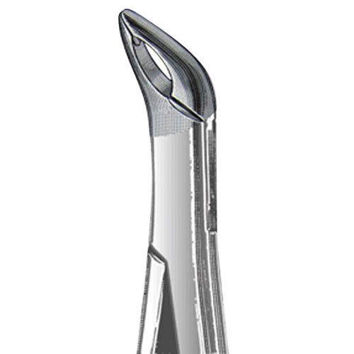 Forceps 203 Lower Roots Universal 43491 (US Elite) product image