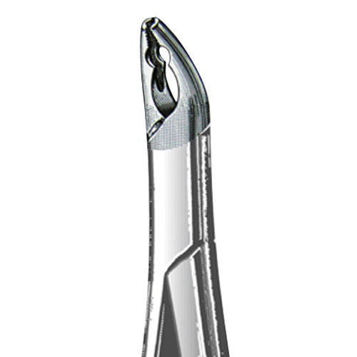 Forceps 150XAS Upper Pedo Split Beak 43521 (US Elite) product image