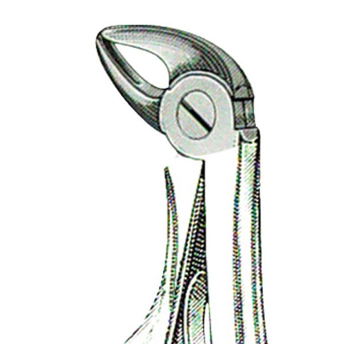 Forceps Pedo B Lower Root Mini 43751 (US Elite) product image