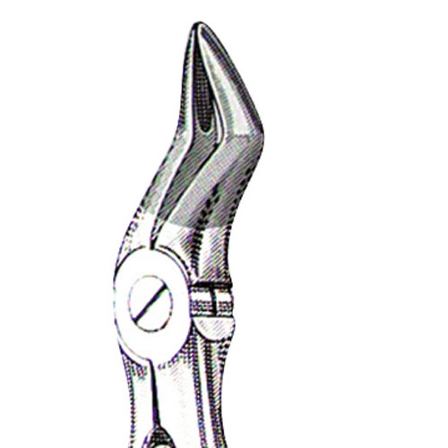Forceps Lower H Univ Mini 43791 (US Elite) product image