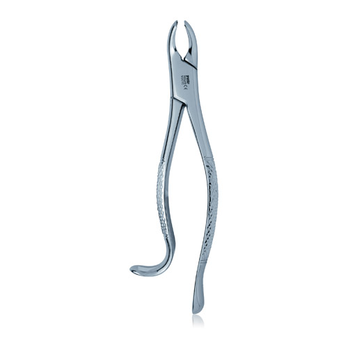 Extracting Forceps Size 18R Adult Ea thumbnail 3