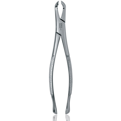 Extracting Forceps Size 222 Adult Ea thumbnail 3