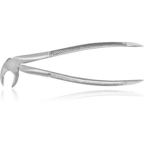 233 European Root Forceps, Serrated, FX233 thumbnail 3