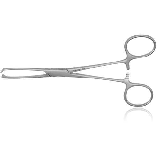 Straight Allison Tissue Forceps product image